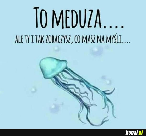 Meduza