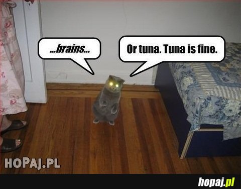 Tuna is fine