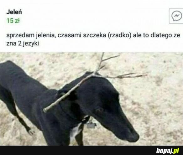 PS Uczy się trzeciego