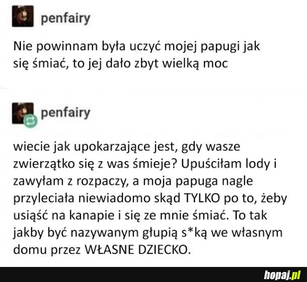 Nigdy nie ucz tego swojej papugi