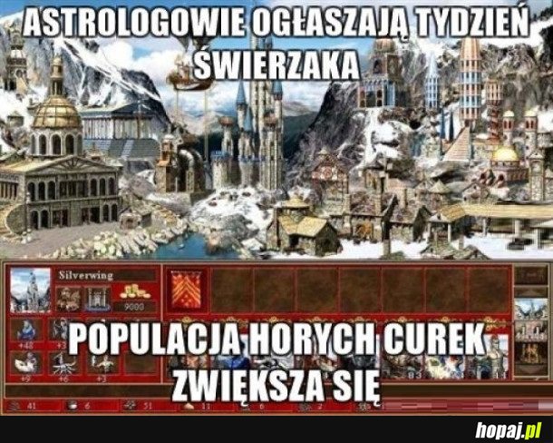 ŚWIEŻAKI