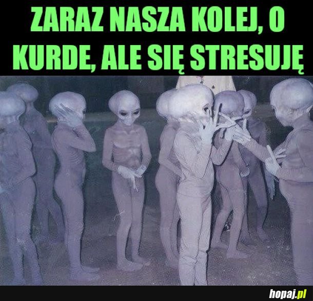 Połowa roku zaraz za nami