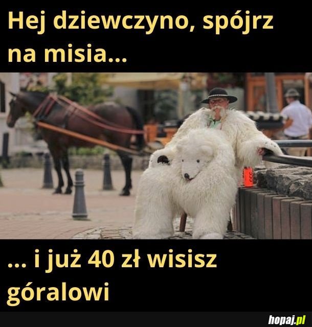 Wyskakuj z 40 ziko!