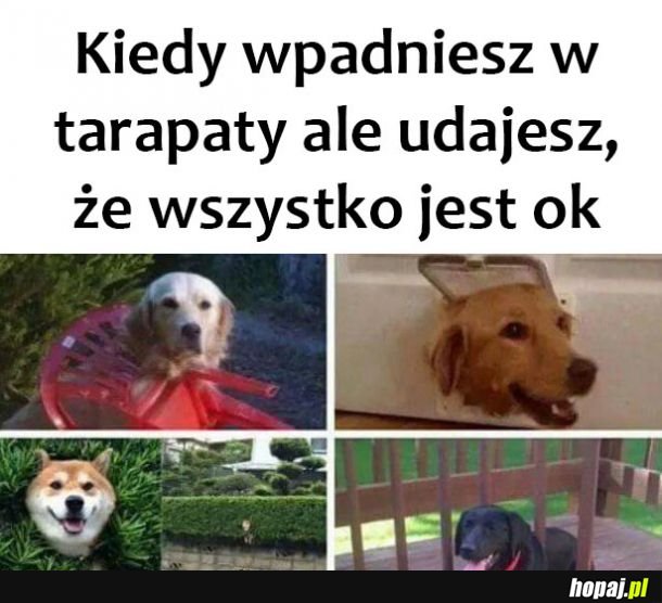 Kłopociki