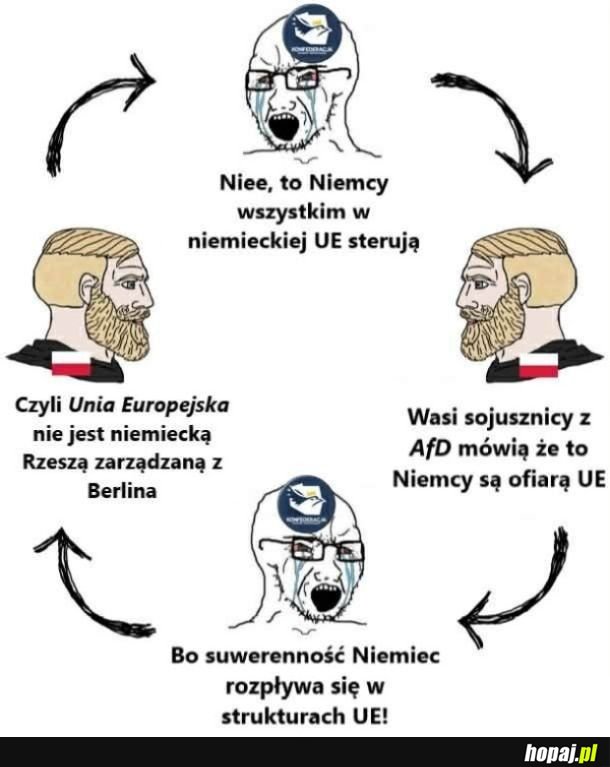 Konfederosja jak zwykle plącze się w swoich kłamstwach xD