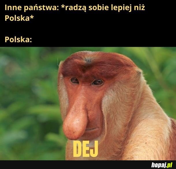 Polska Madką Narodów