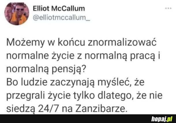 Zanzi