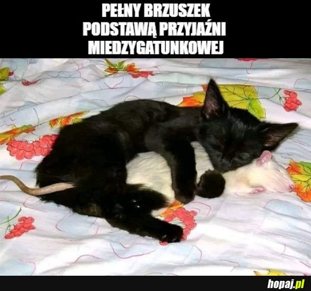 Zgadza się