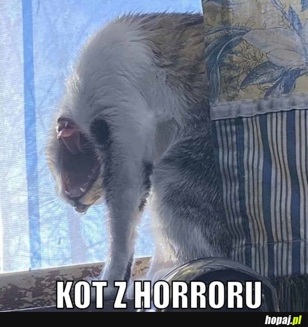Horror