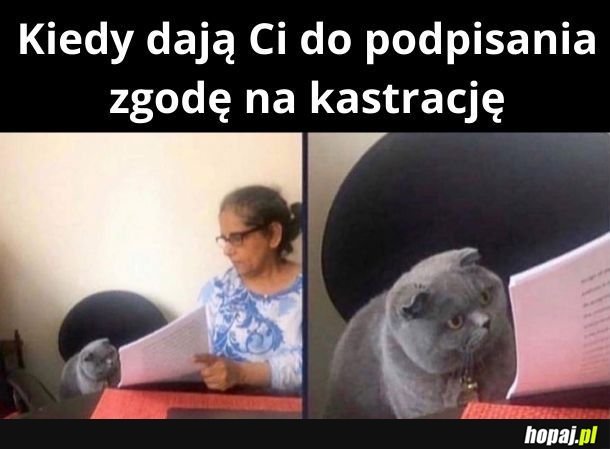 Ja ten dokument nazywam Aktem Małżeństwa