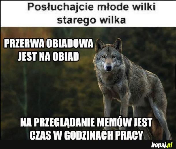 Ważna rada