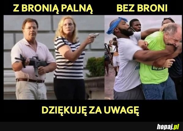 Krótka rozprawa o dostępie do broni palnej