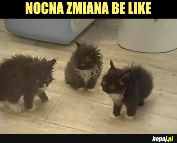 Zmiana