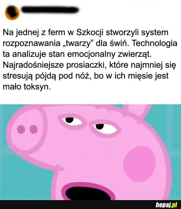 Technologie 