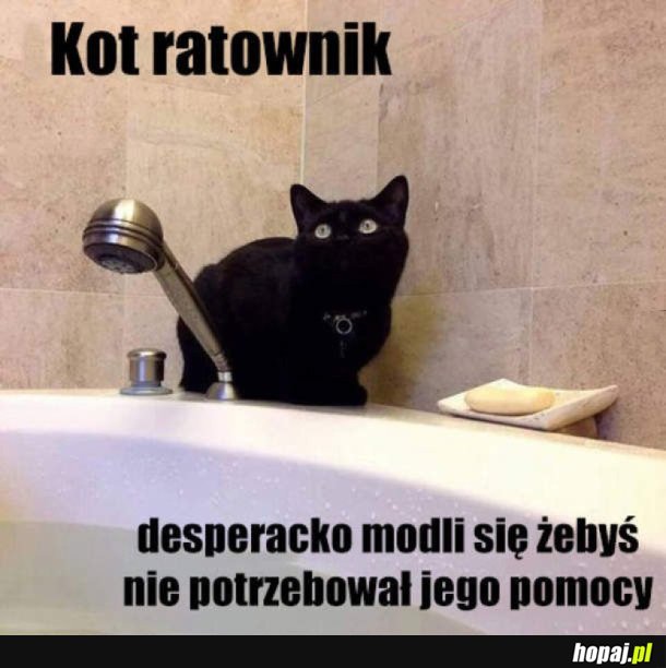 KOT RATOWNIK