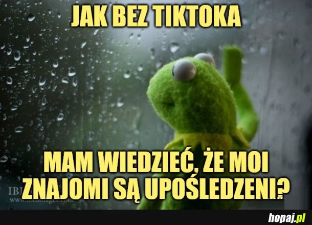 No właśnie.