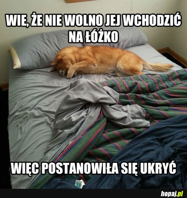 Oszukała system