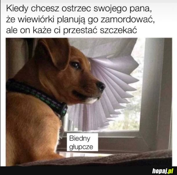 Pieseł