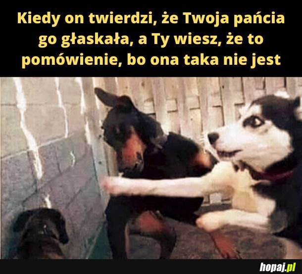 Pańcia.