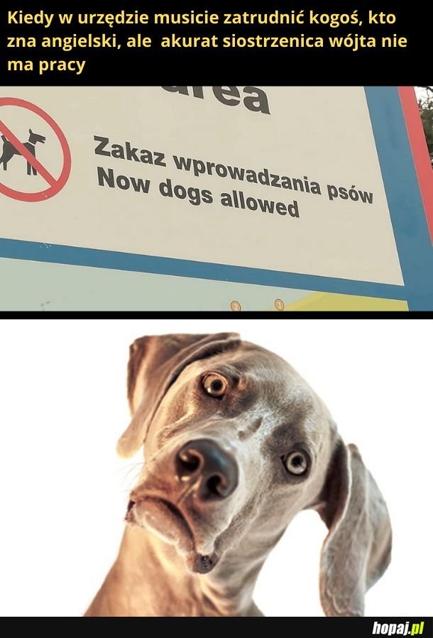 Siostrzenica wójta