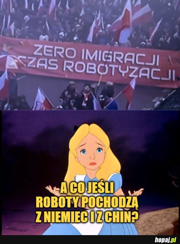 Osoba robotyczno-imigrancka. 