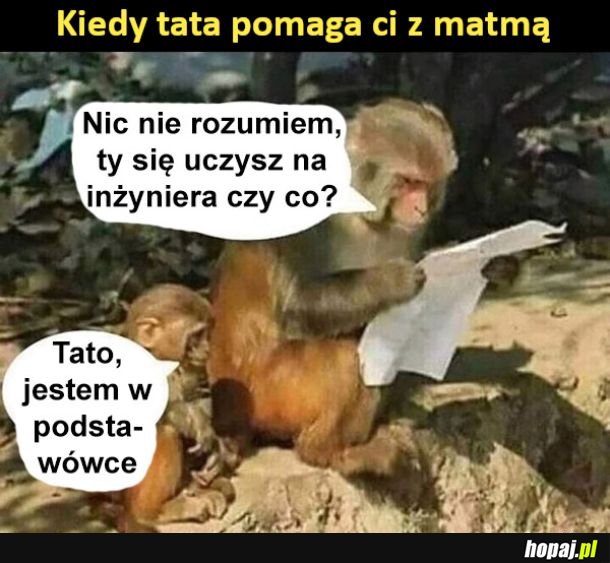 Kiedy tata pomaga ci z matmą