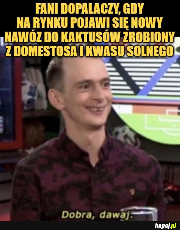 Dopalacze.