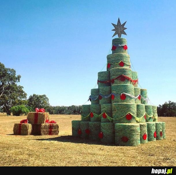 Choinki dostosowane do miejsca pracy 