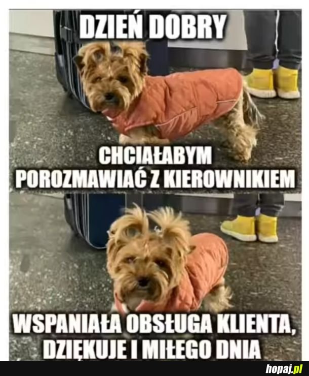 Dzień dobry