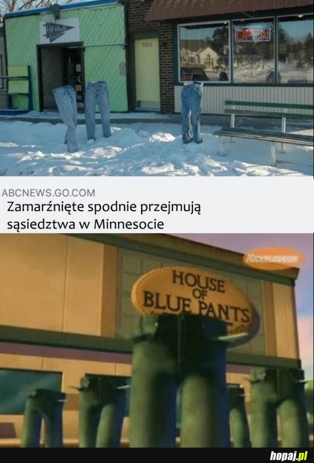 Wyglądają znajomo