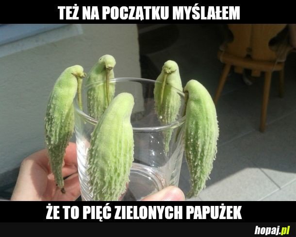 Ptaszki