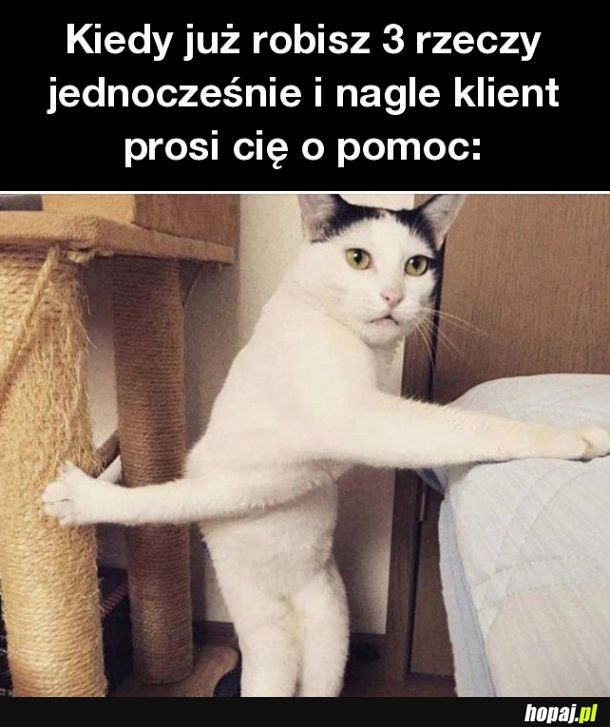 Czego