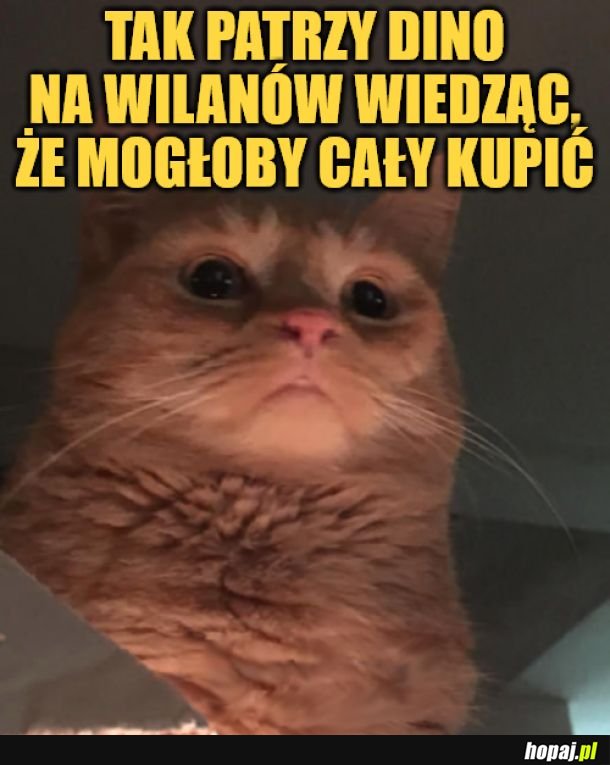 Wilanów.