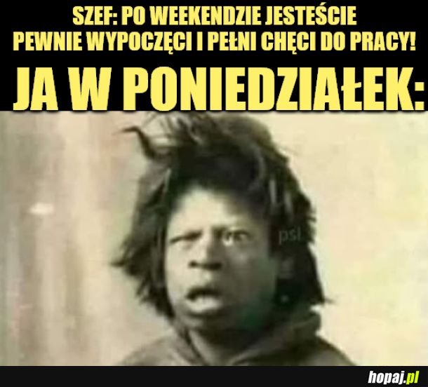 Poniedziałek