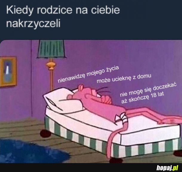 Wyprowadzam się, nienawidzę was