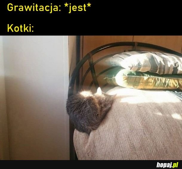 Mają to gdzieś