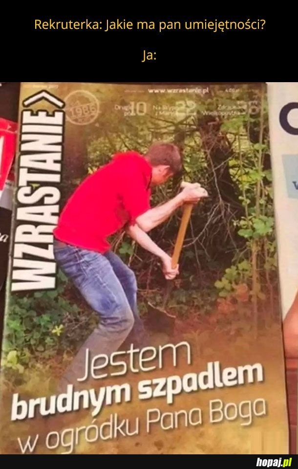 Moje umiejętności