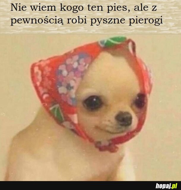 Pierogi