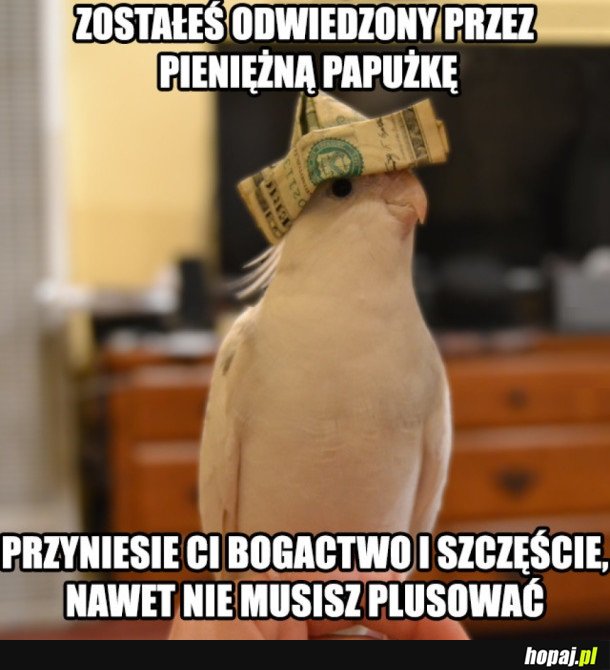 PIENIĘŻNA PAPUŻKA