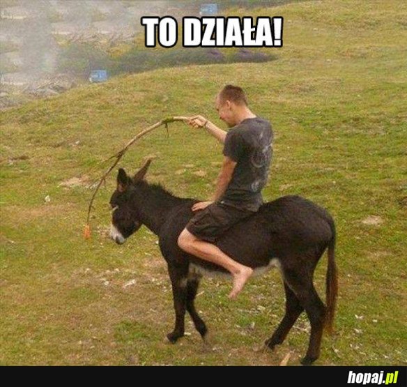 To działa