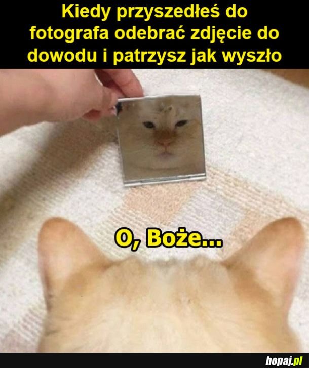 Zdjęcie dowodu