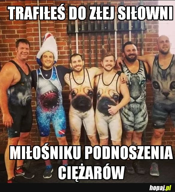 Siłownia