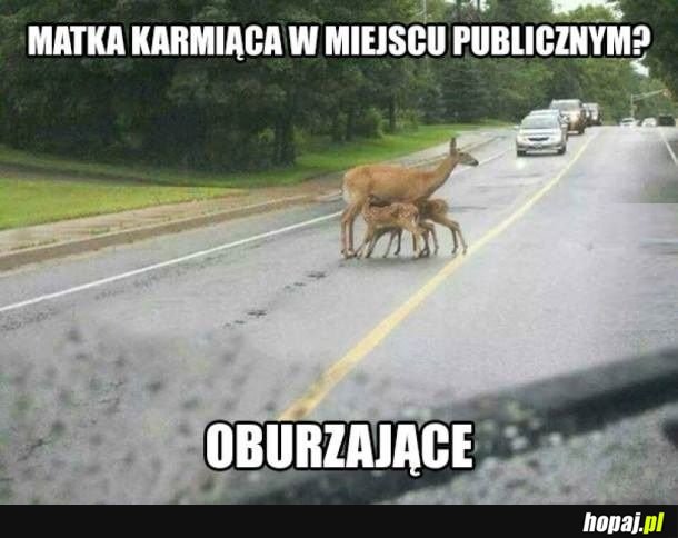 Oburzające