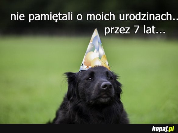 ZAWIEDZIONY PIESEŁ