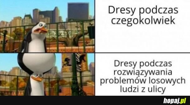 Dresy