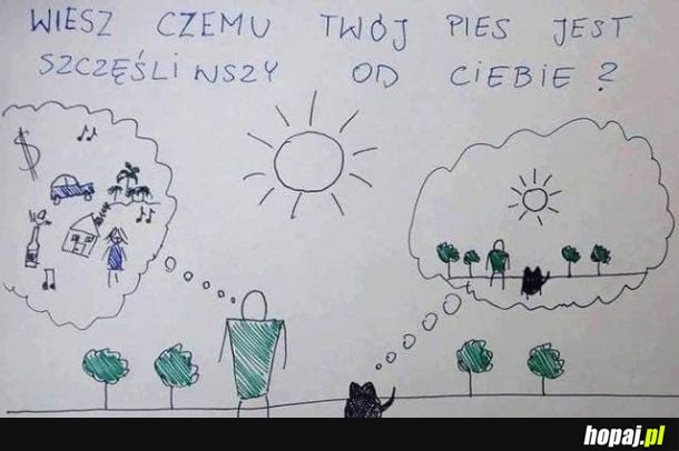  Pies szczęśliwszy 