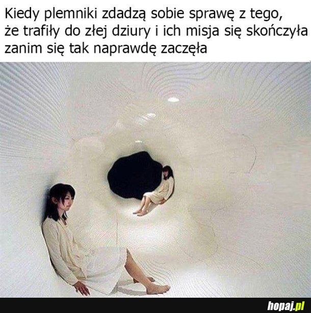 PLEMNIKI NIE DAŁY RADY