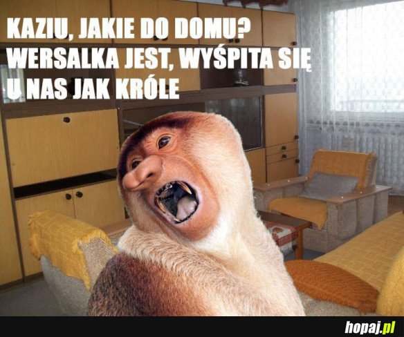 Z WIZYTĄ U JANUSZA