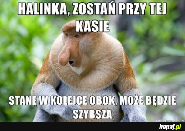 TAK TO WŁAŚNIE JEST