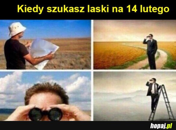 Gdzie te dziewczyny